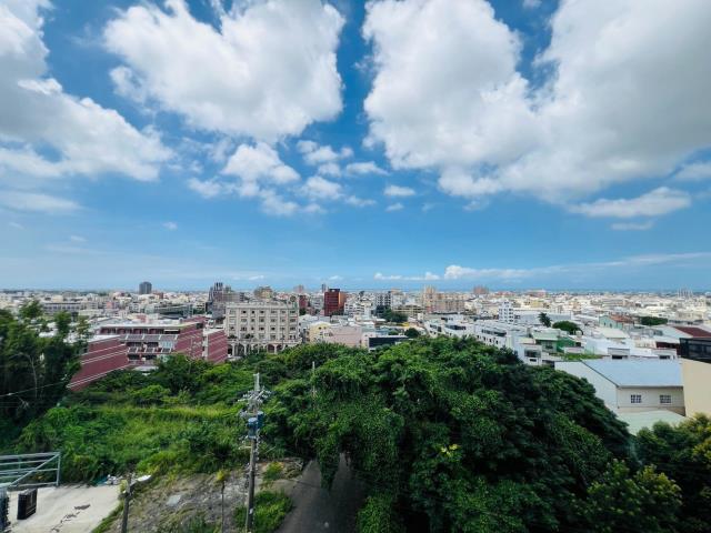 台中大甲華廈-6