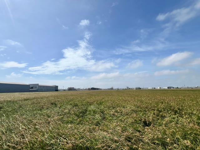 龍井農地-4
