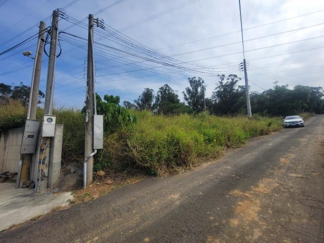 沙鹿保護地-3