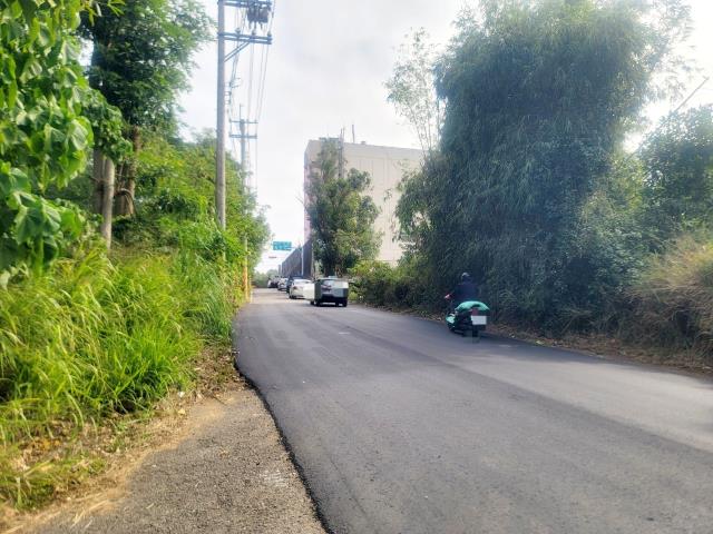 沙鹿保護地-4