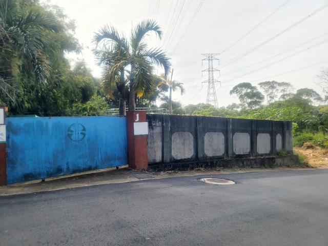 沙鹿保護地-5