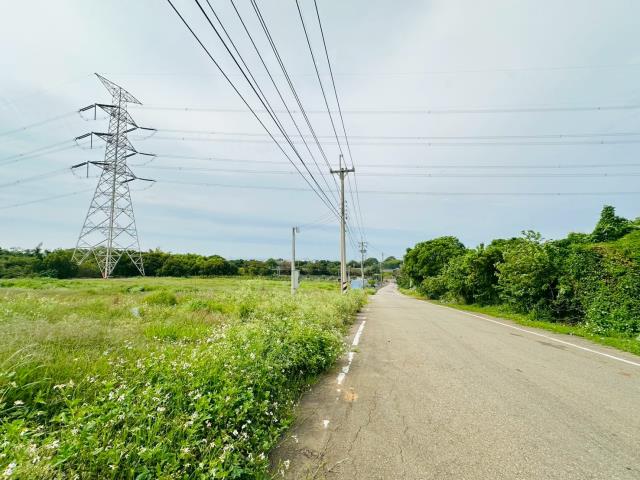 龍井保護地-1