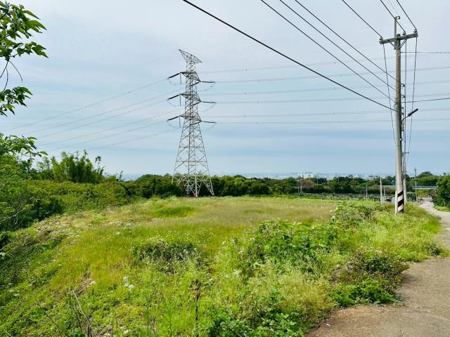龍井保護地-2