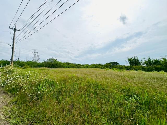 龍井保護地-3