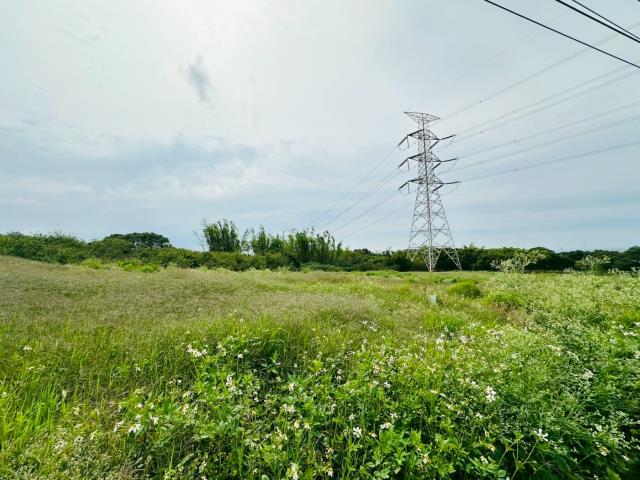 龍井保護地-4
