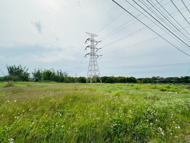 龍井保護地-5