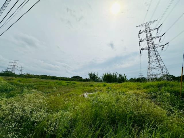 龍井保護地-7