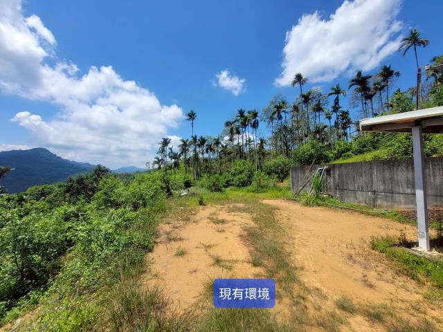 南投國姓農地-1