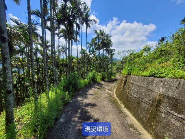 南投國姓農地-3